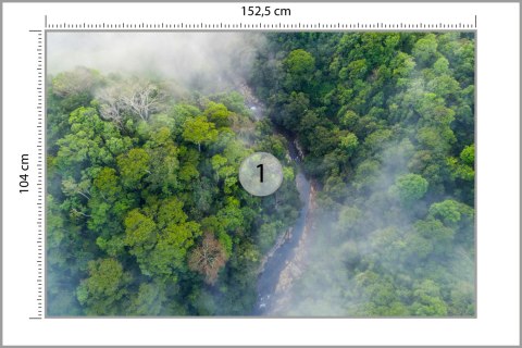 Fototapeta Las We Mgle Vinyl Gładki 152.5x104 FT-456-VGL