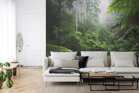 Fototapeta Las We Mgle Flizelina 208x146 FT-3490-VEXL