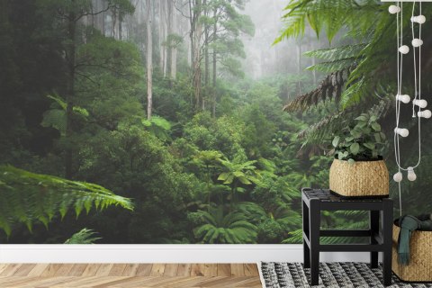 Fototapeta Las We Mgle Flizelina 208x146 FT-3490-VEXL