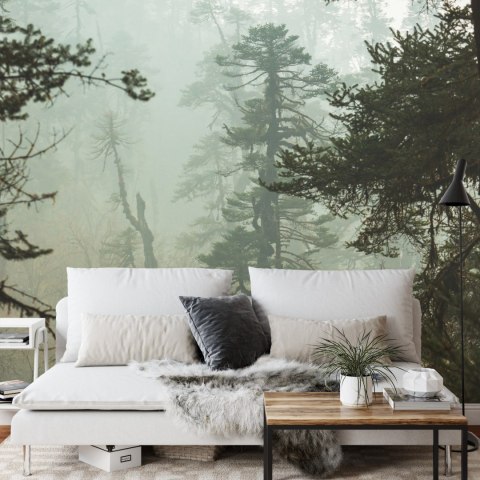 Fototapeta Las We Mgle Flizelina 208x146 FT-3491-VEXL