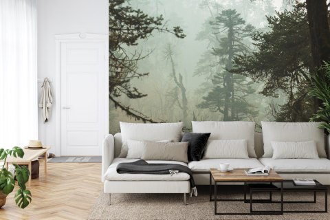 Fototapeta Las We Mgle Flizelina 208x146 FT-3491-VEXL