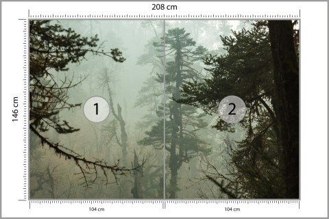 Fototapeta Las We Mgle Flizelina 208x146 FT-3491-VEXL