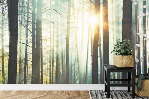 Fototapeta Las We Mgle Flizelina 208x146 FT-3492-VEXL