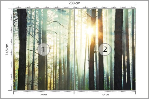 Fototapeta Las We Mgle Flizelina 208x146 FT-3492-VEXL