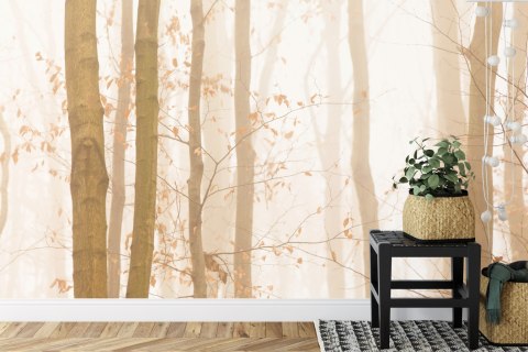 Fototapeta Las We Mgle Flizelina 208x146 FT-457-VEXL