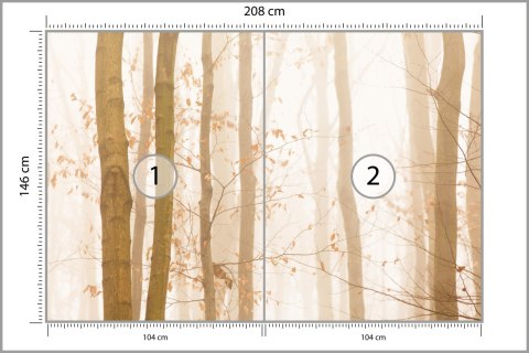 Fototapeta Las We Mgle Flizelina 208x146 FT-457-VEXL