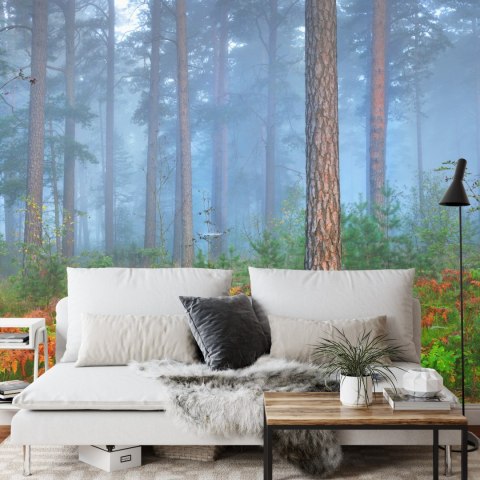 Fototapeta Las We Mgle Flizelina 208x146 FT-460-VEXL