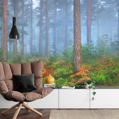 Fototapeta Las We Mgle Flizelina 208x146 FT-460-VEXL