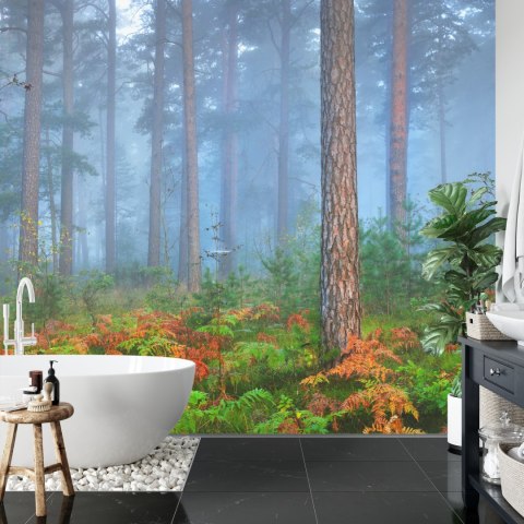 Fototapeta Las We Mgle Flizelina 208x146 FT-460-VEXL