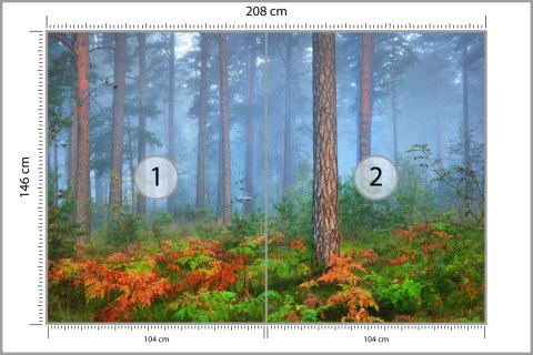 Fototapeta Las We Mgle Flizelina 208x146 FT-460-VEXL