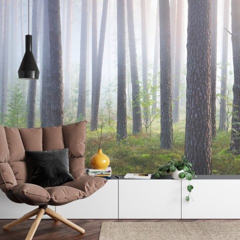 Fototapeta Las We Mgle Flizelina 208x146 FT-462-VEXL