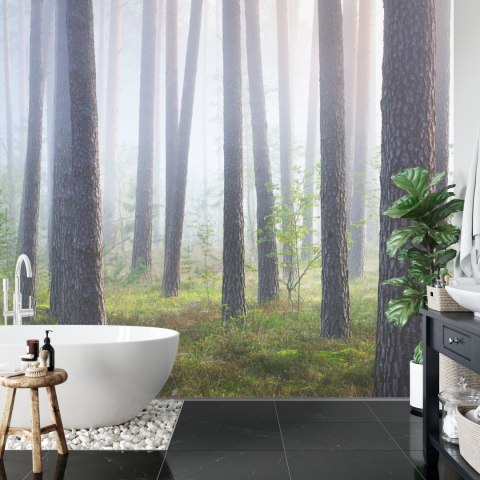 Fototapeta Las We Mgle Flizelina 208x146 FT-462-VEXL