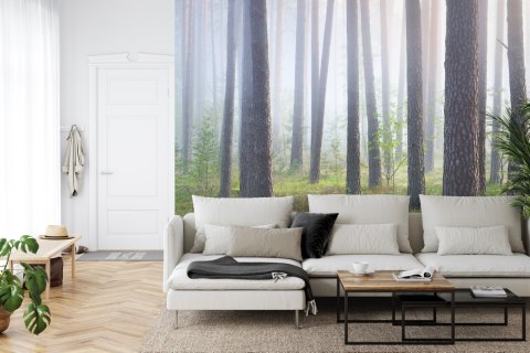 Fototapeta Las We Mgle Flizelina 208x146 FT-462-VEXL