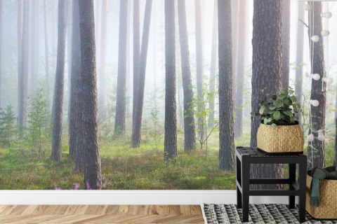 Fototapeta Las We Mgle Flizelina 208x146 FT-462-VEXL