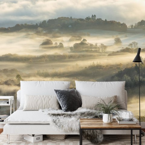 Fototapeta Las We Mgle Flizelina 208x146 FT-464-VEXL