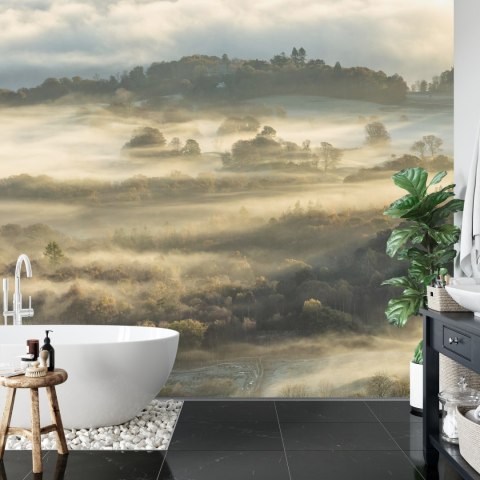 Fototapeta Las We Mgle Flizelina 208x146 FT-464-VEXL