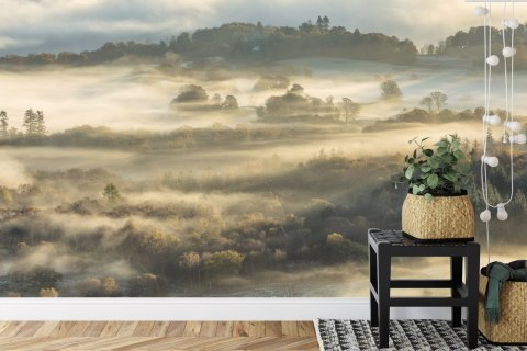 Fototapeta Las We Mgle Flizelina 208x146 FT-464-VEXL