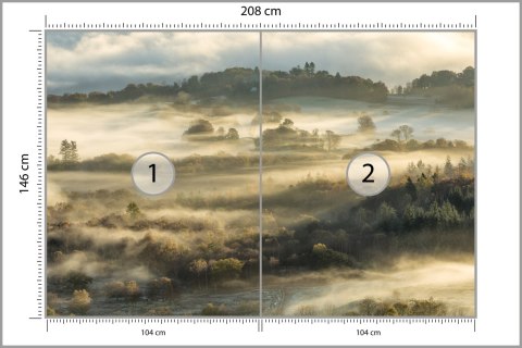 Fototapeta Las We Mgle Flizelina 208x146 FT-464-VEXL