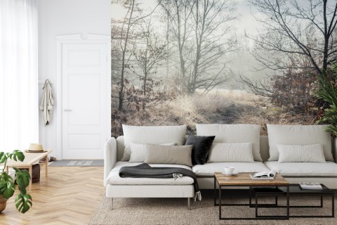 Fototapeta Las We Mgle Flizelina 208x146 FT-467-VEXL