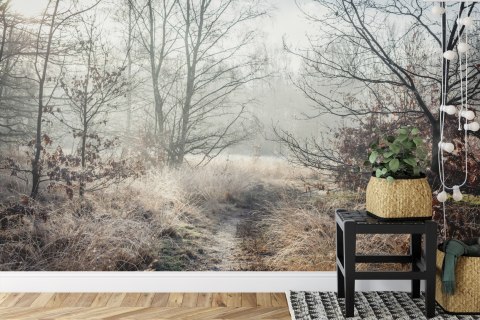 Fototapeta Las We Mgle Flizelina 208x146 FT-467-VEXL