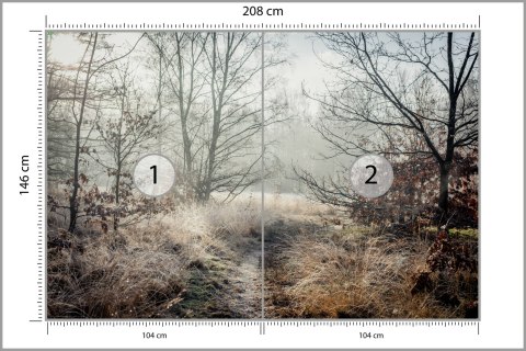 Fototapeta Las We Mgle Flizelina 208x146 FT-467-VEXL