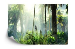 Fototapeta Las We Mgle Flizelina 208x146 FT-475-VEXL