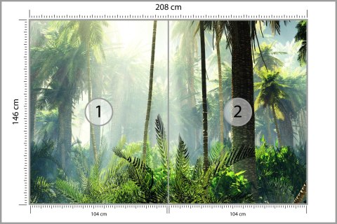 Fototapeta Las We Mgle Flizelina 208x146 FT-475-VEXL