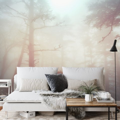 Fototapeta Las We Mgle Flizelina 208x146 FT-482-VEXL