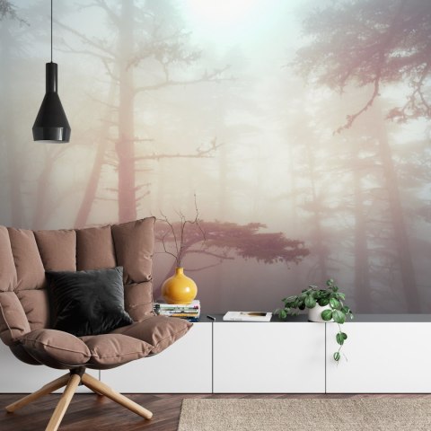 Fototapeta Las We Mgle Flizelina 208x146 FT-482-VEXL