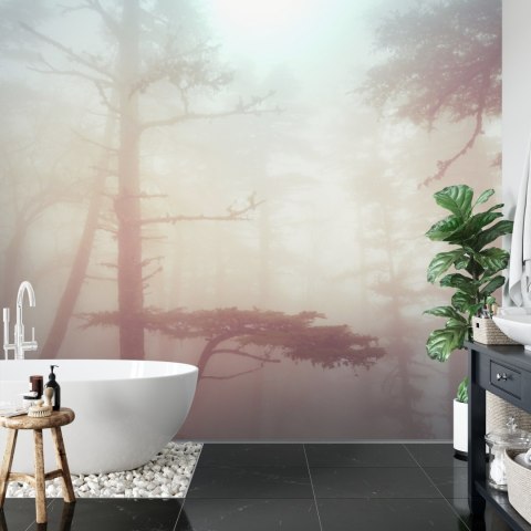 Fototapeta Las We Mgle Flizelina 208x146 FT-482-VEXL