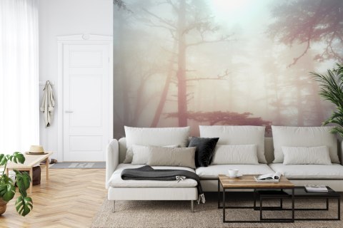 Fototapeta Las We Mgle Flizelina 208x146 FT-482-VEXL