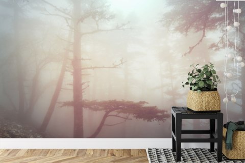 Fototapeta Las We Mgle Flizelina 208x146 FT-482-VEXL