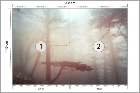 Fototapeta Las We Mgle Flizelina 208x146 FT-482-VEXL