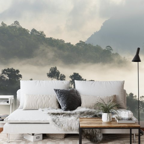 Fototapeta Las We Mgle Flizelina 208x146 FT-485-VEXL