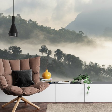 Fototapeta Las We Mgle Flizelina 208x146 FT-485-VEXL