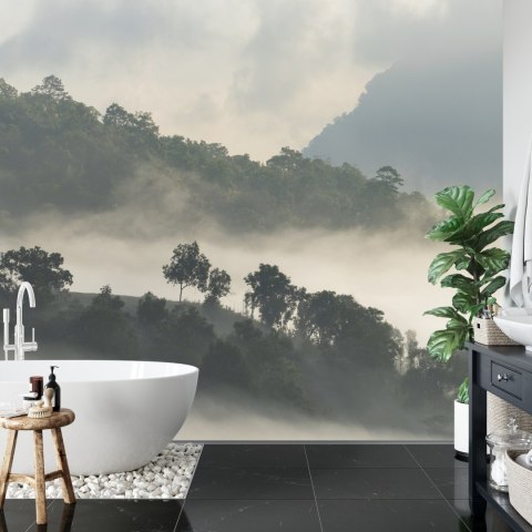 Fototapeta Las We Mgle Flizelina 208x146 FT-485-VEXL