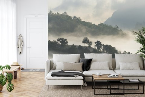 Fototapeta Las We Mgle Flizelina 208x146 FT-485-VEXL