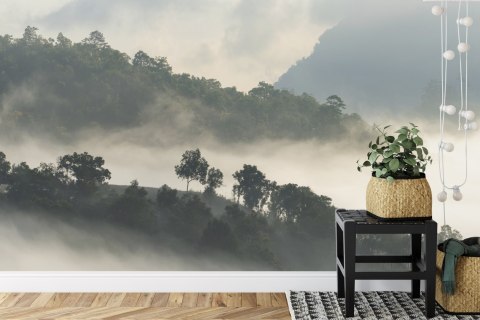 Fototapeta Las We Mgle Flizelina 208x146 FT-485-VEXL