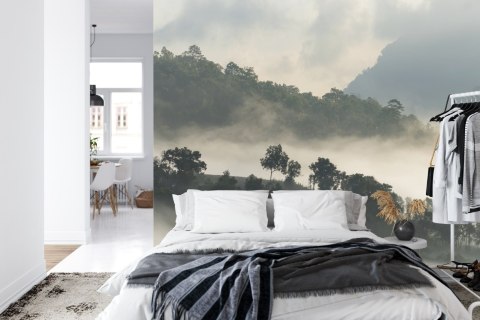 Fototapeta Las We Mgle Flizelina 208x146 FT-485-VEXL