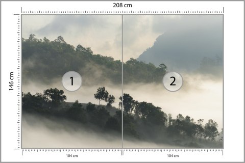 Fototapeta Las We Mgle Flizelina 208x146 FT-485-VEXL