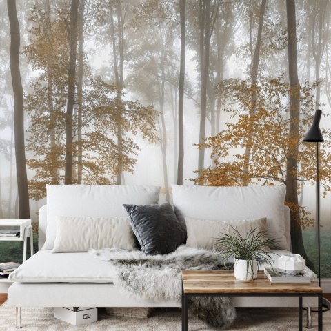 Fototapeta Las We Mgle Flizelina 208x146 FT-491-VEXL