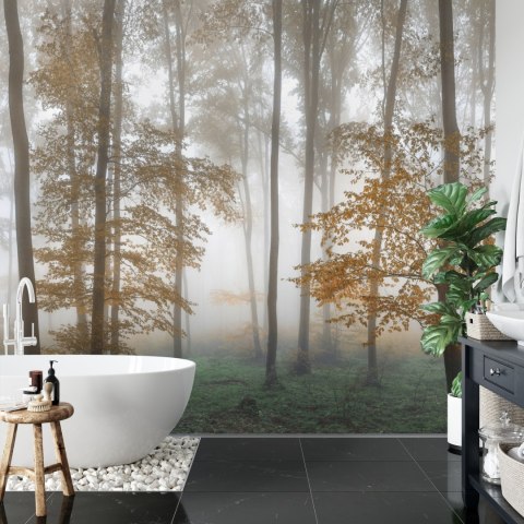 Fototapeta Las We Mgle Flizelina 208x146 FT-491-VEXL