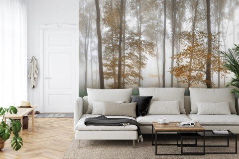 Fototapeta Las We Mgle Flizelina 208x146 FT-491-VEXL