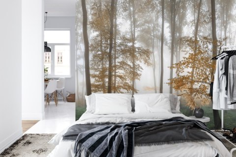 Fototapeta Las We Mgle Flizelina 208x146 FT-491-VEXL