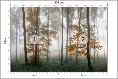 Fototapeta Las We Mgle Flizelina 208x146 FT-491-VEXL