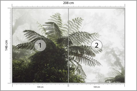 Fototapeta Las We Mgle Flizelina 208x146 FT-496-VEXL