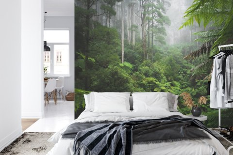 Fototapeta Las We Mgle Vinyl Gładki 152.5x104 FT-3490-VGL