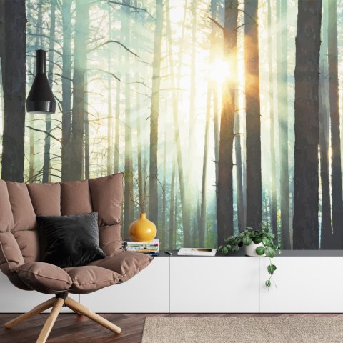 Fototapeta Las We Mgle Vinyl Gładki 152.5x104 FT-3492-VGL