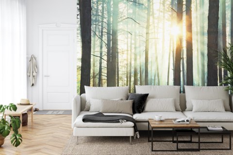 Fototapeta Las We Mgle Vinyl Gładki 152.5x104 FT-3492-VGL