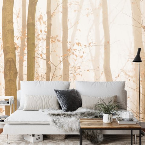 Fototapeta Las We Mgle Vinyl Gładki 152.5x104 FT-457-VGL